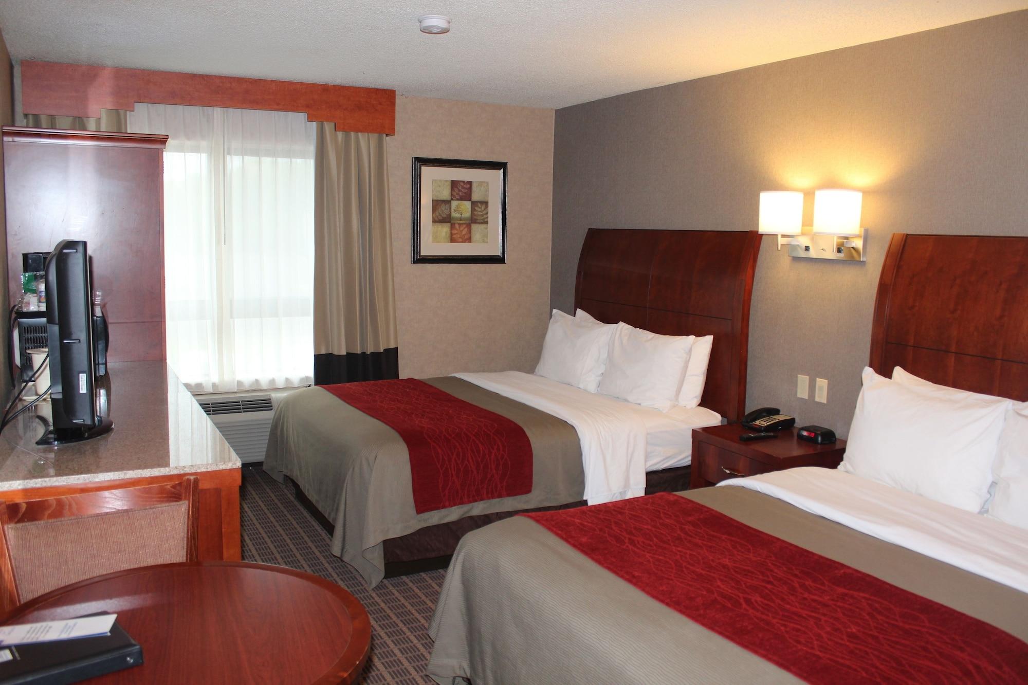 מערב ספרינגפילד Comfort Inn & Suites מראה חיצוני תמונה