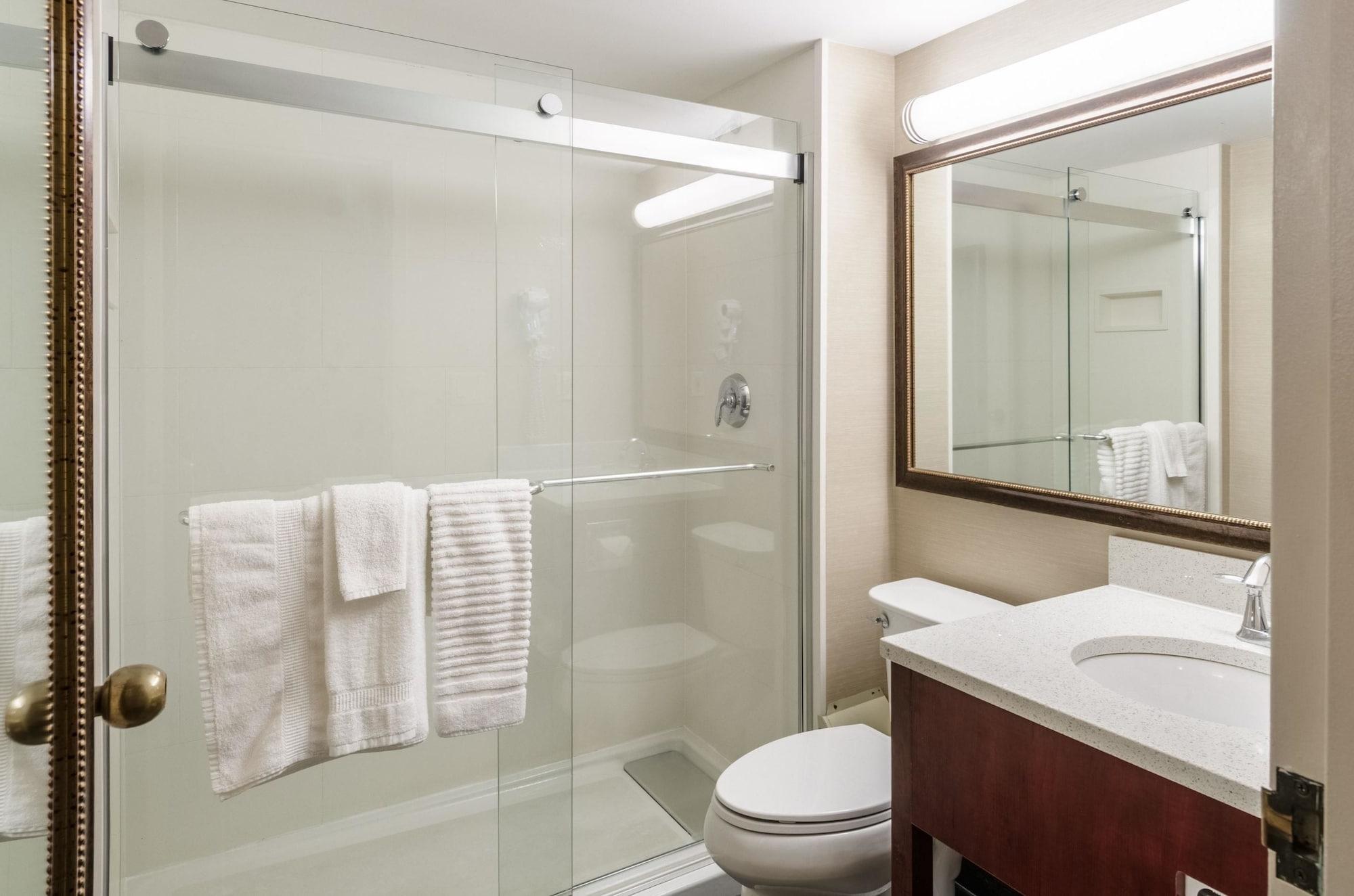 מערב ספרינגפילד Comfort Inn & Suites מראה חיצוני תמונה