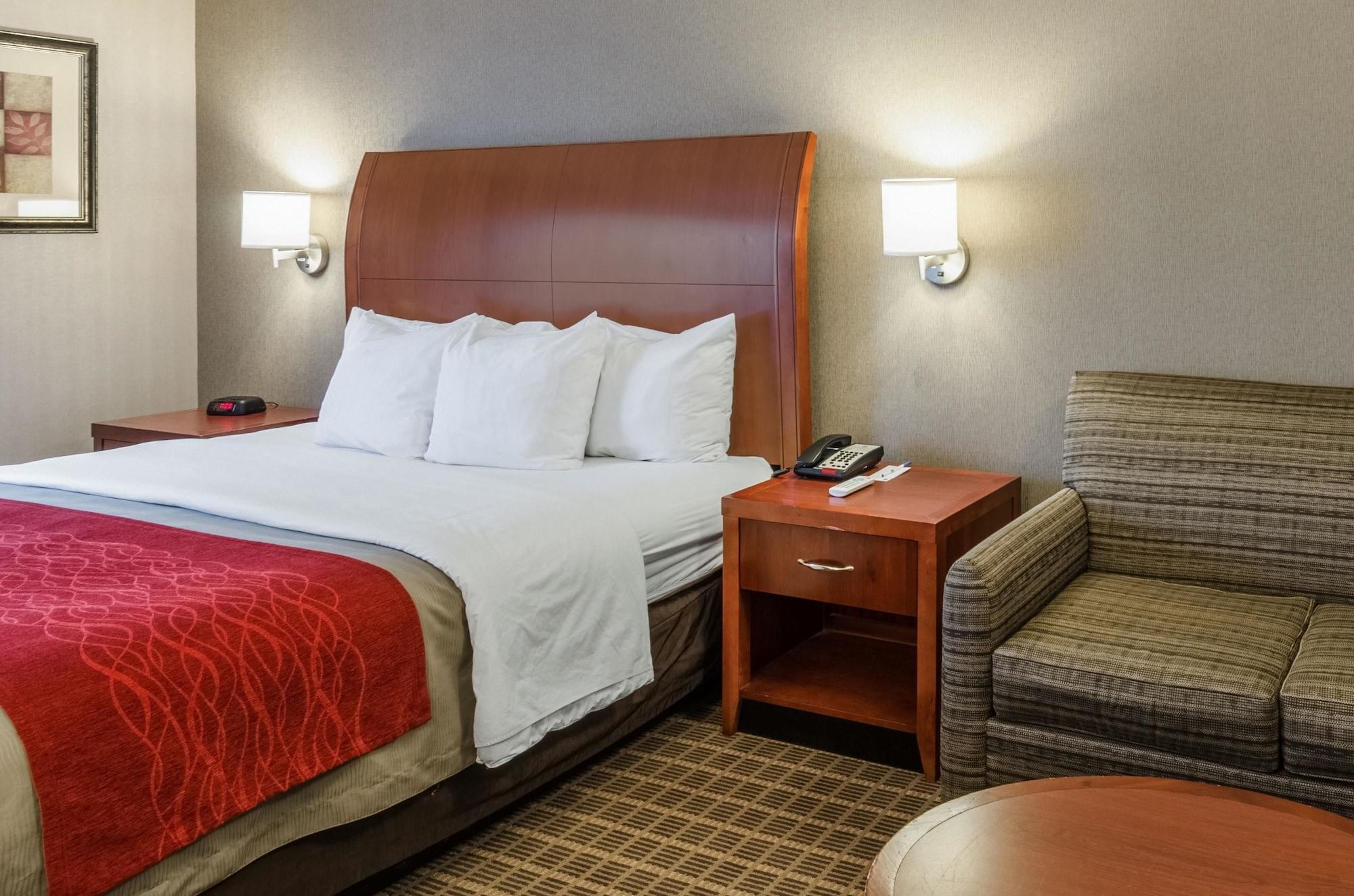 מערב ספרינגפילד Comfort Inn & Suites מראה חיצוני תמונה