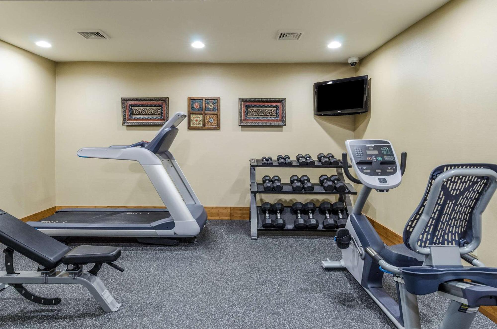 מערב ספרינגפילד Comfort Inn & Suites מראה חיצוני תמונה