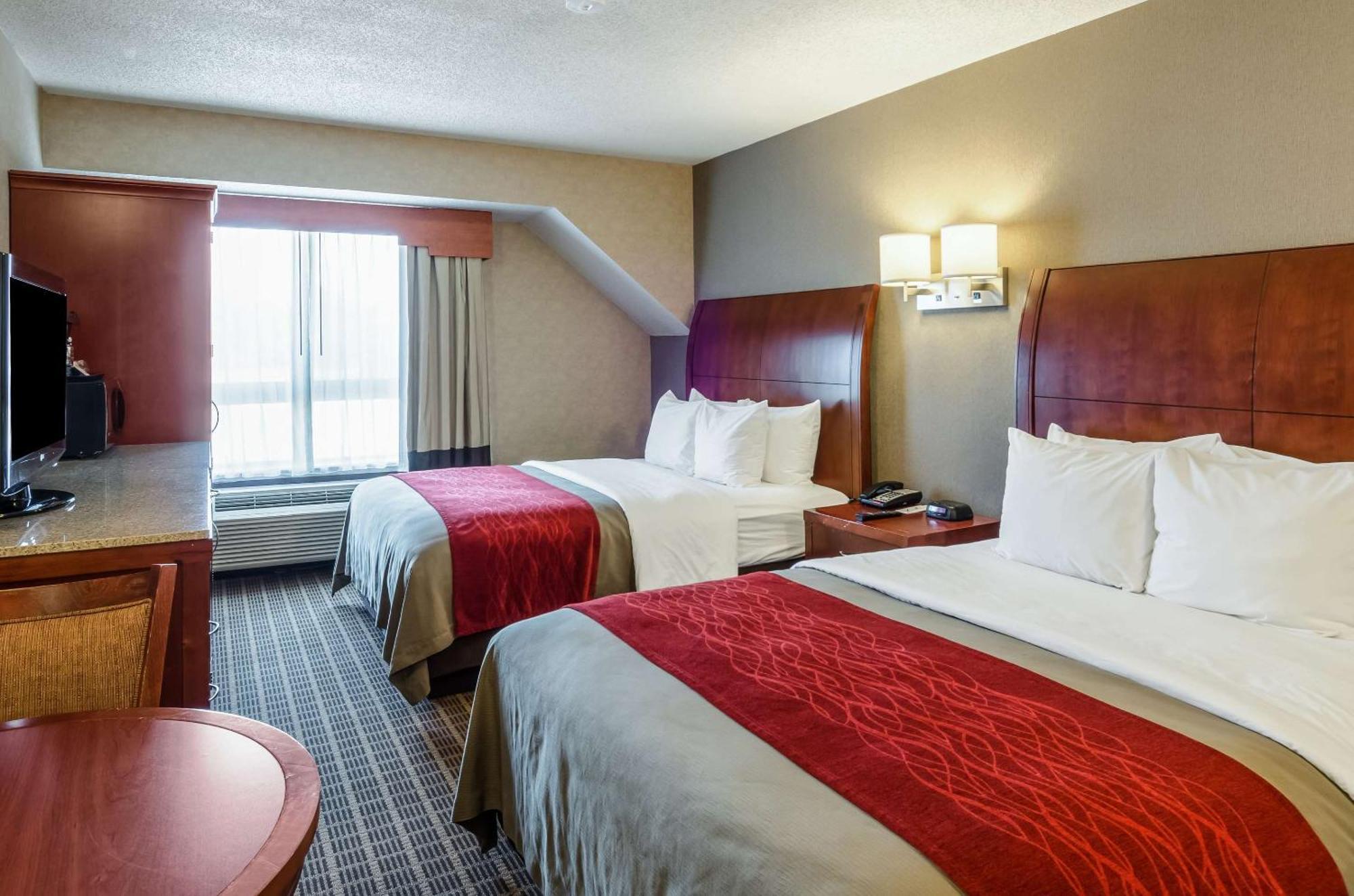 מערב ספרינגפילד Comfort Inn & Suites מראה חיצוני תמונה