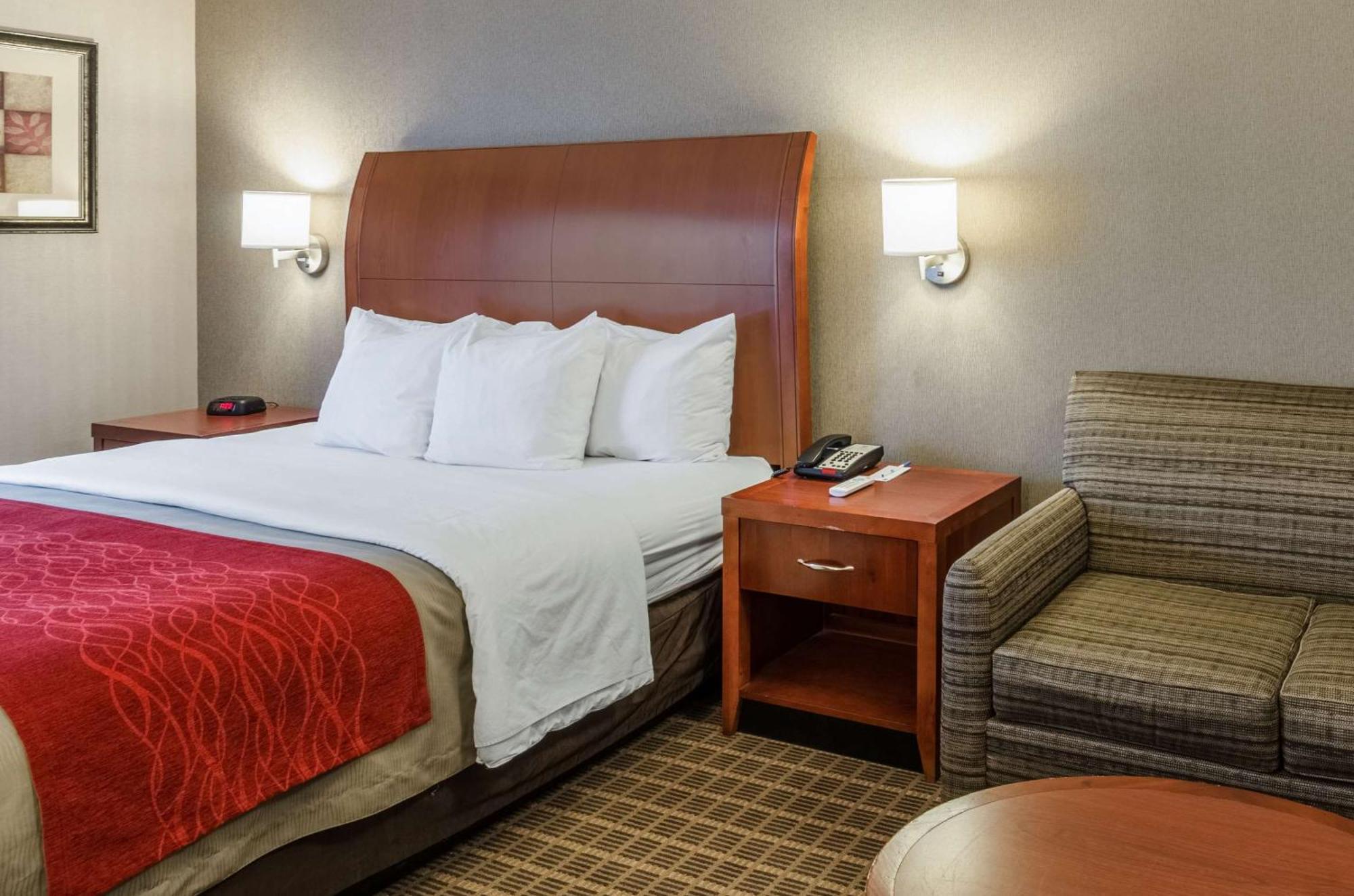 מערב ספרינגפילד Comfort Inn & Suites מראה חיצוני תמונה