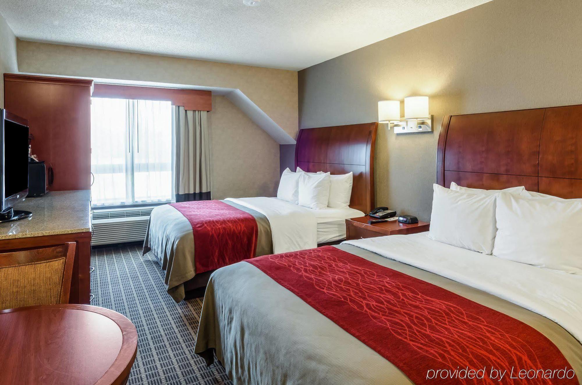 מערב ספרינגפילד Comfort Inn & Suites מראה חיצוני תמונה