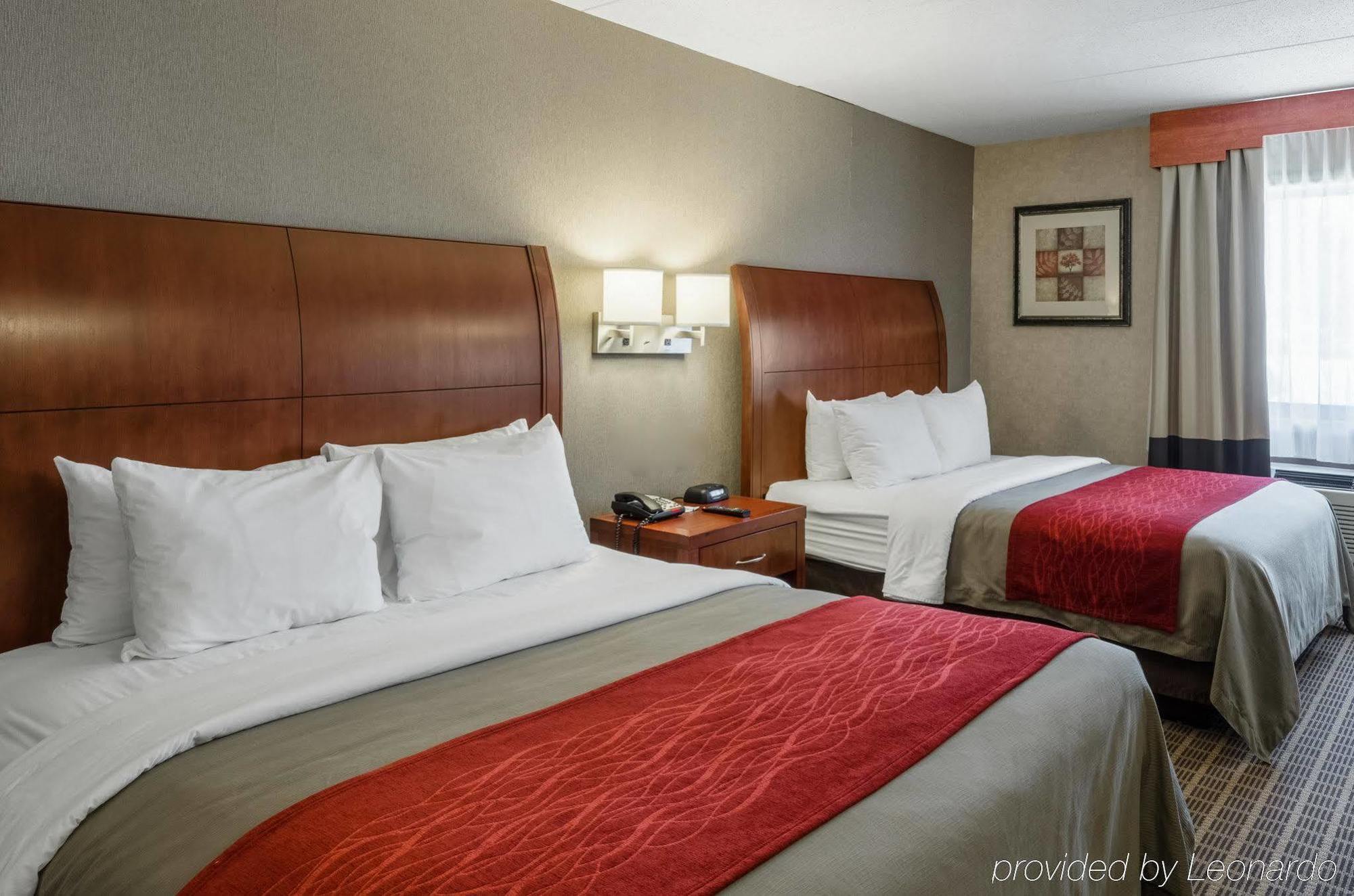 מערב ספרינגפילד Comfort Inn & Suites מראה חיצוני תמונה